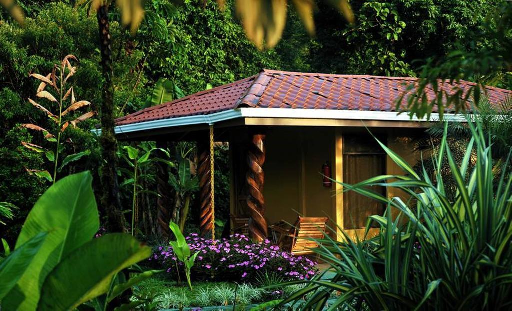 Hotel Catarata Rio Celeste บิฆากัว ห้อง รูปภาพ
