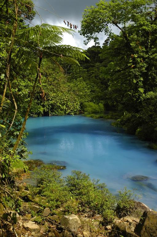 Hotel Catarata Rio Celeste บิฆากัว ภายนอก รูปภาพ