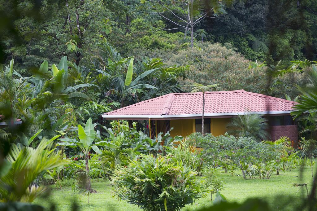 Hotel Catarata Rio Celeste บิฆากัว ภายนอก รูปภาพ