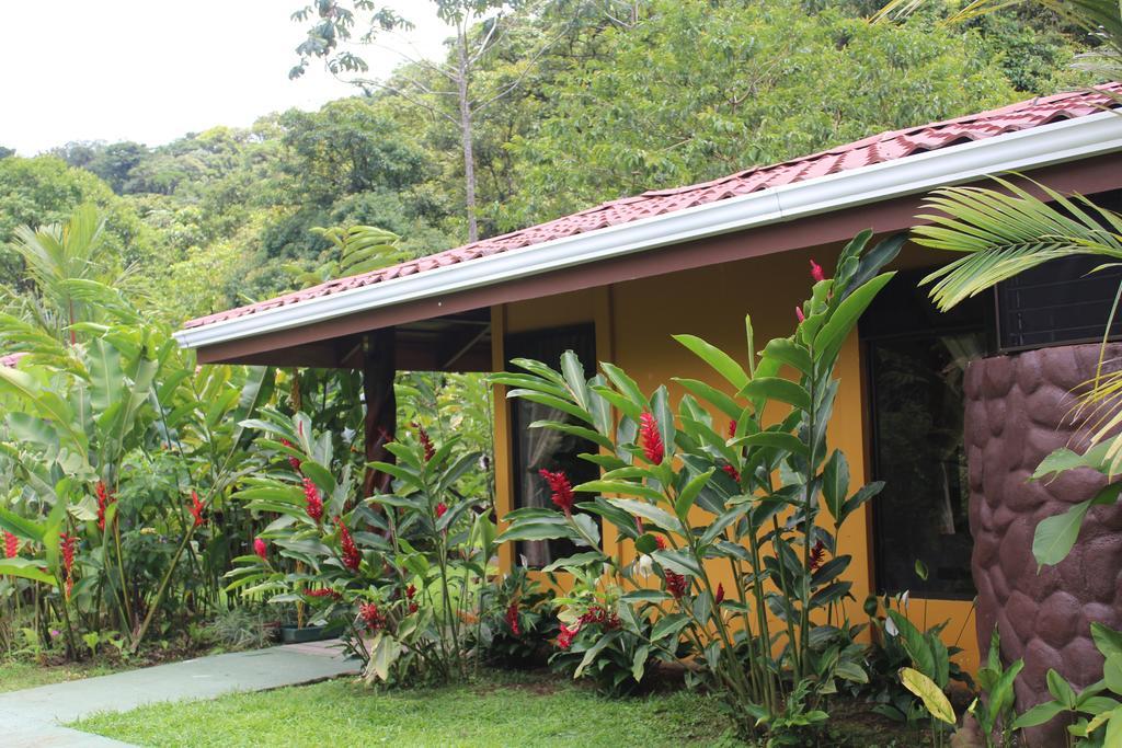 Hotel Catarata Rio Celeste บิฆากัว ภายนอก รูปภาพ