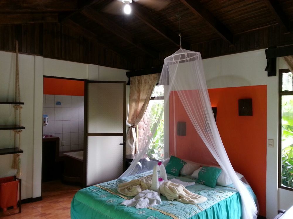 Hotel Catarata Rio Celeste บิฆากัว ภายนอก รูปภาพ