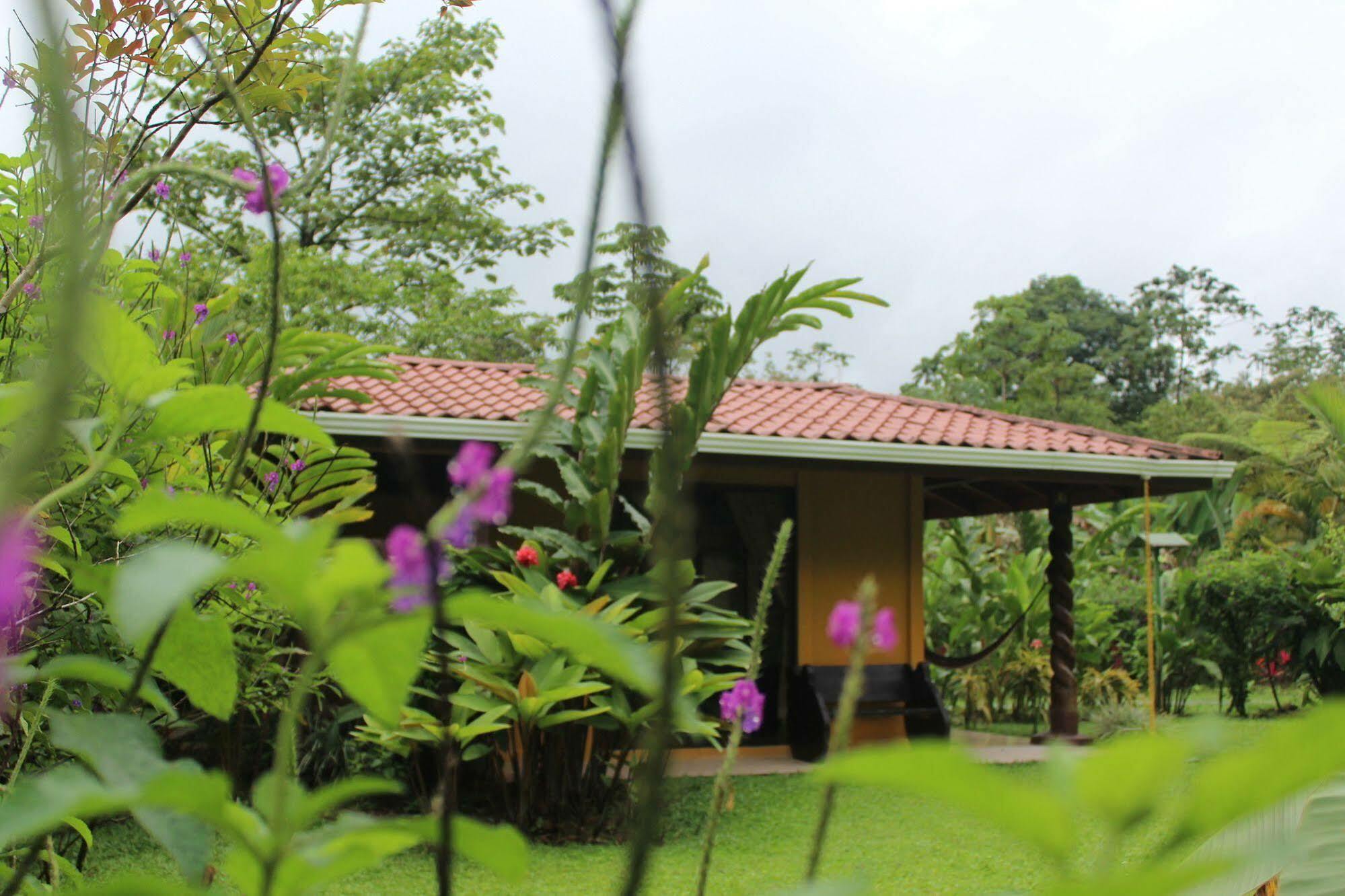 Hotel Catarata Rio Celeste บิฆากัว ภายนอก รูปภาพ