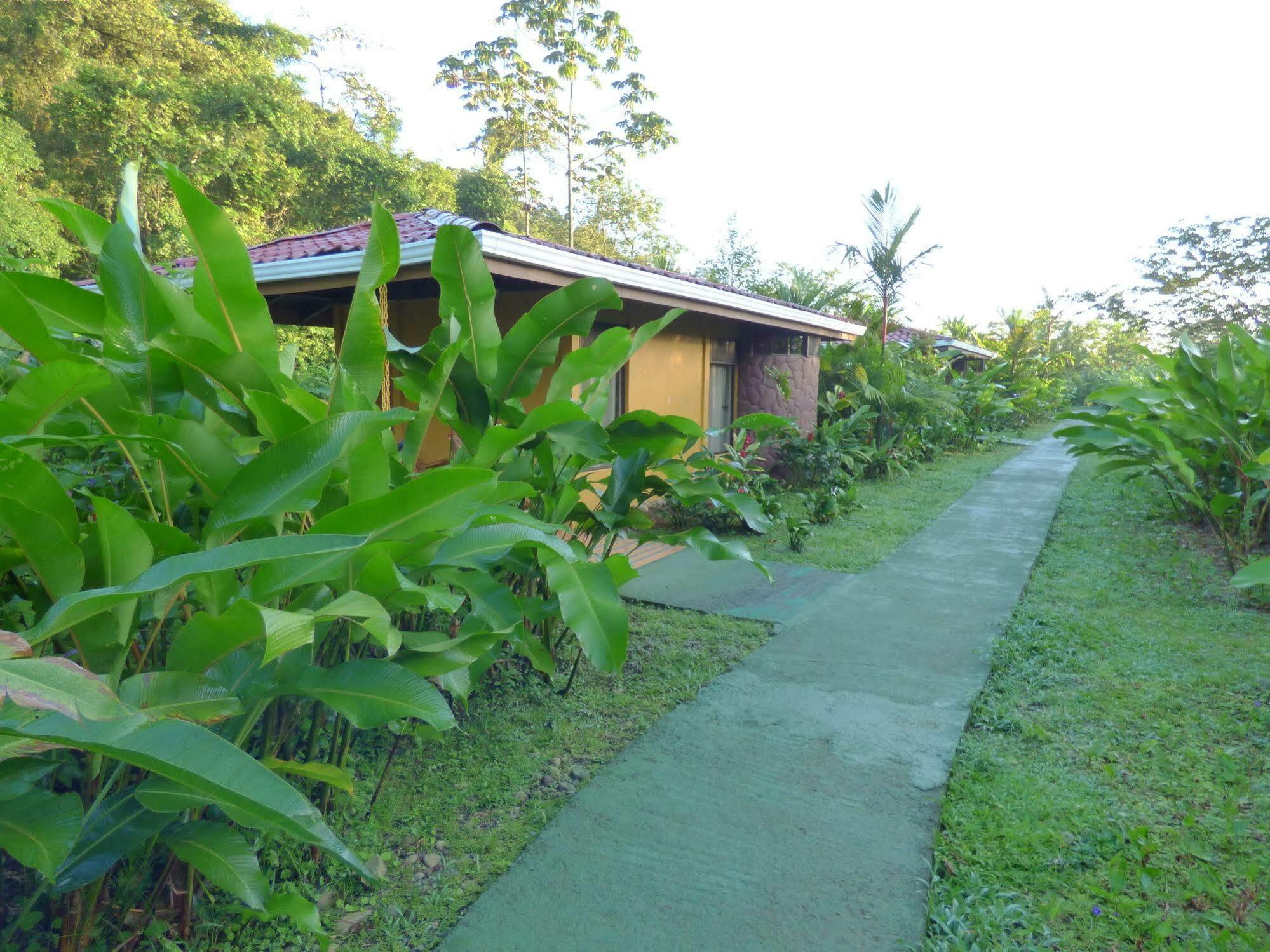 Hotel Catarata Rio Celeste บิฆากัว ภายนอก รูปภาพ
