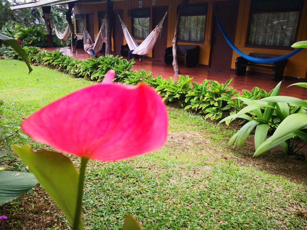 Hotel Catarata Rio Celeste บิฆากัว ภายนอก รูปภาพ