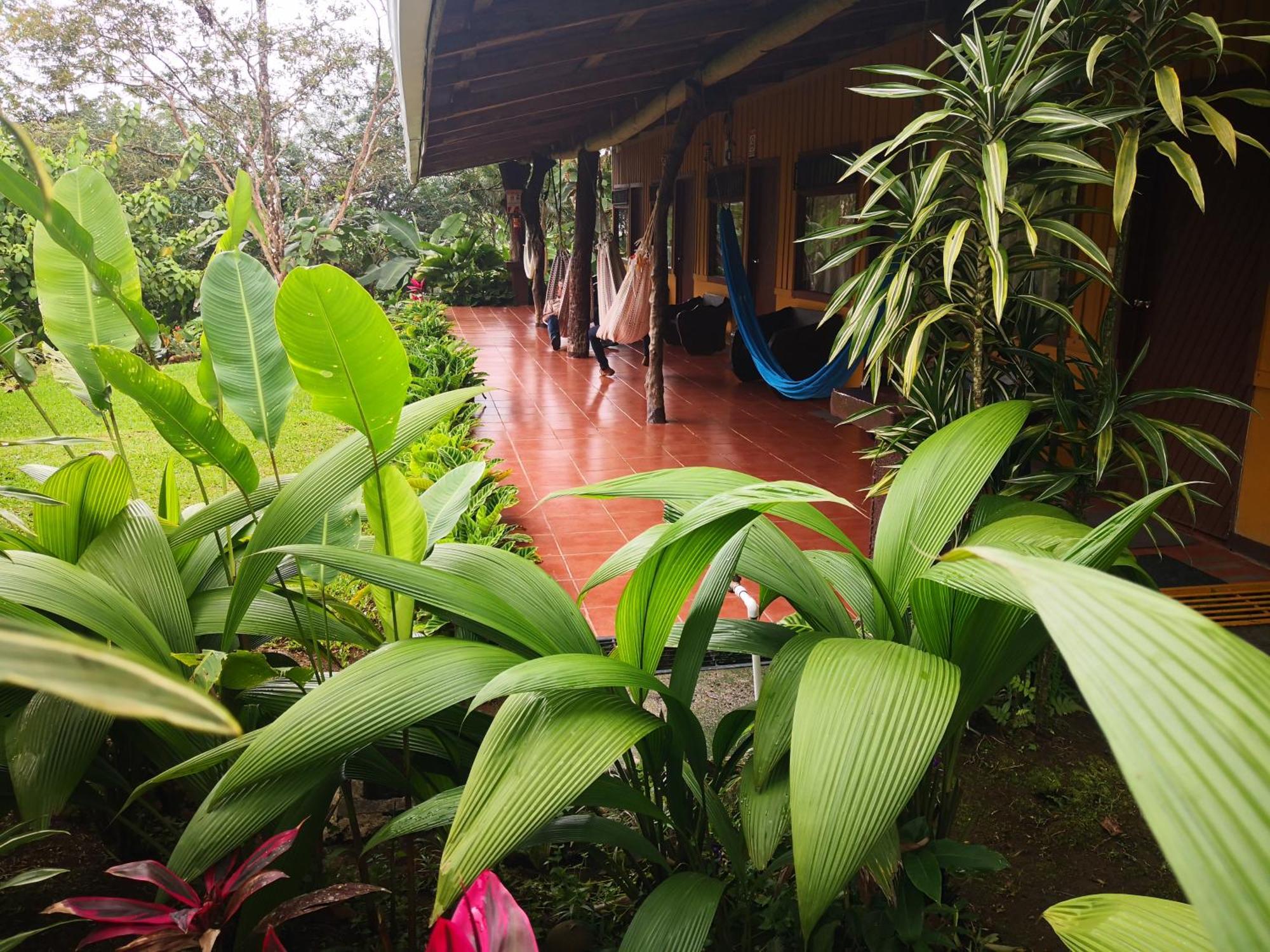 Hotel Catarata Rio Celeste บิฆากัว ภายนอก รูปภาพ